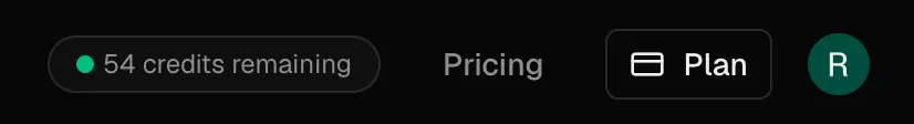 A company's credit balance